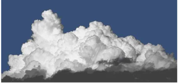 Fig. 1.1: Un vrai cumulus