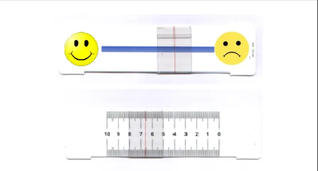 Figure 5 : Echelle d'évaluation de l'observance