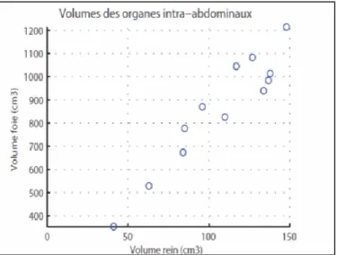 Figure 46.  Evolution relative du volume du foie avec le volume des reins. 