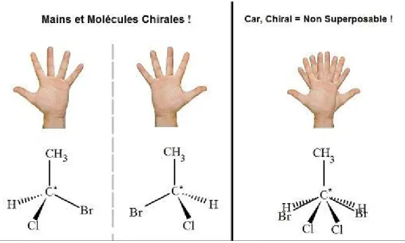 Figure 2: Exemple de molécule chirale 
