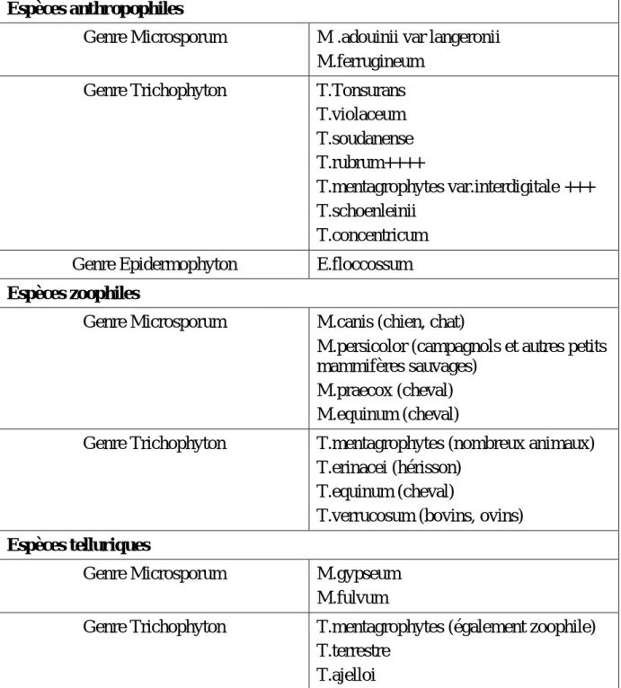Tableau 2 : principaux dermatophytes potentiellement pathogènes pour l’homme  (CHABASSE et al