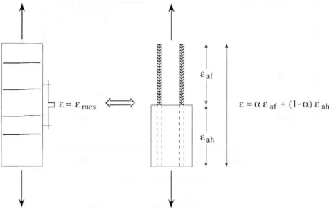 Figure 6.Modélisation de la déformation d’un poteau en béton armé fissuré 
