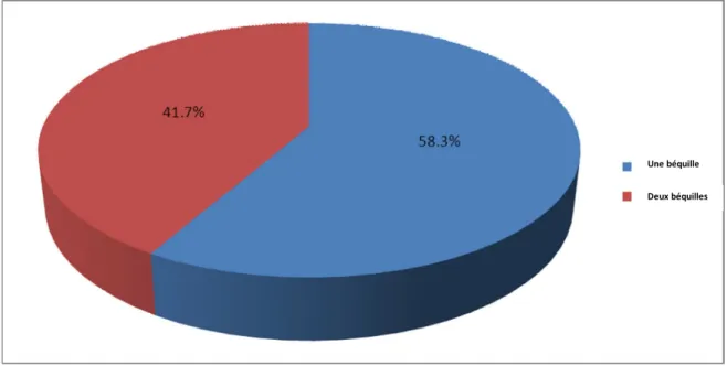 Figure 7 : Usage de béquille ou canne en pourcentage. 