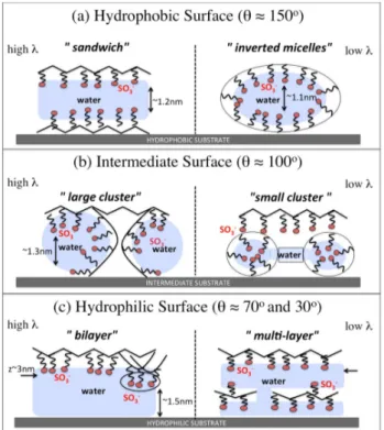 Figure 2.4: Qualitative picture of film morphologies, at different values of θ, ranging from highly hydrophobic (top) to very hydrophilic (bottom) and at different hydration levels λ (high and low hydration on left and right, respectively)