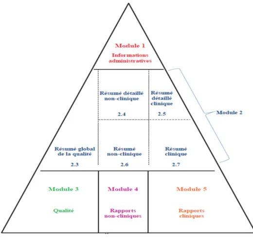 Figure 2: Structure du format CTD [18] 