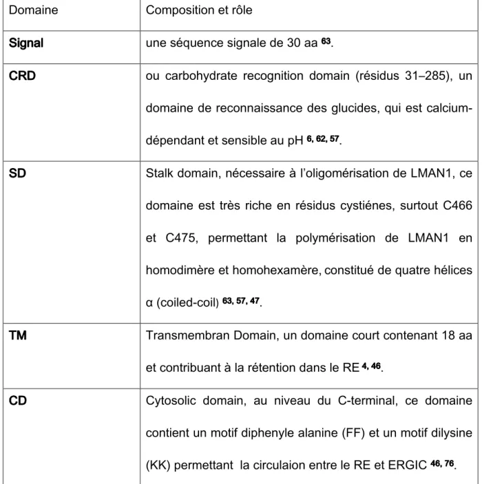 Tableau 1 : Domaines constituants la structure de la protéine LMAN1. De l’extrémité  N-terminale (domaine signal) à l’extrémité C-terminale (Cytosolic domain)