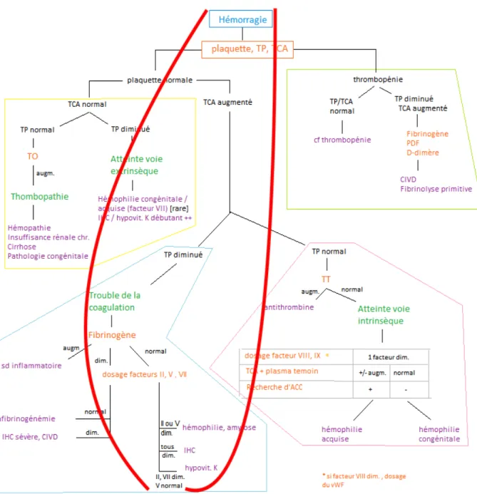 Figure 9 : Arbre décisionnel de l’hémorragie [44] 