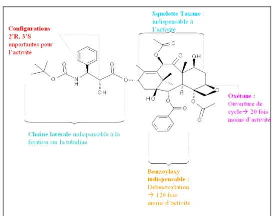 Figure 3 : Structure développée du Docetaxel
