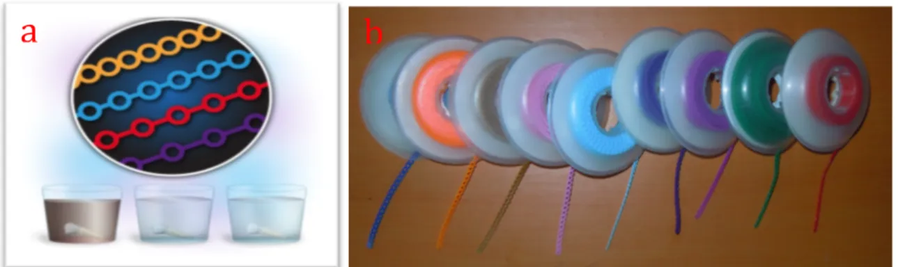 Figure 5:   Différents   types   de   chaînettes   élastomériques   :      a:   chaînettes   élastomériques   de   couleur   et       dimensions   variées   découpées   en   segments,   b:   chaînettes   de   même   dimension   et   de   couleur   variées 