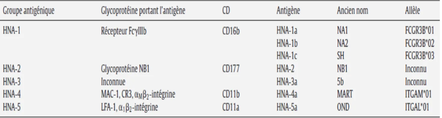 Tableau II :antigènes des polynucléaires neutrophiles (15) 