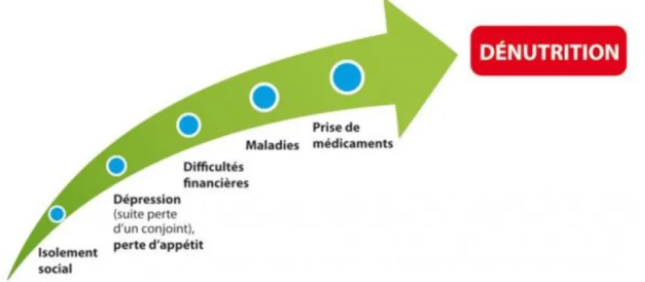 Figure 2 : dénutrition par carence d’apport [6]. 