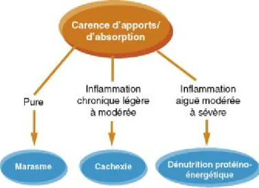 Figure 3 : différents types de dénutrition selon leur mécanisme [9]. 
