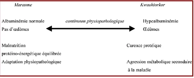 Figure 4 : Continuum physiopathologique de la dénutrition [7]. 