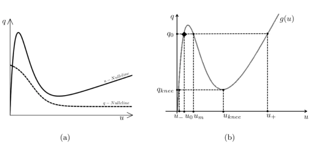Figure 3.1: (a) A typical graph of the nullclines of system (3.1.6) in the (u, q)-plane when the conditions of Hypothesis 3.1.1 are satisfied.(b) Illustration of the assumptions on the function g of Hypothesis 3.1.2.