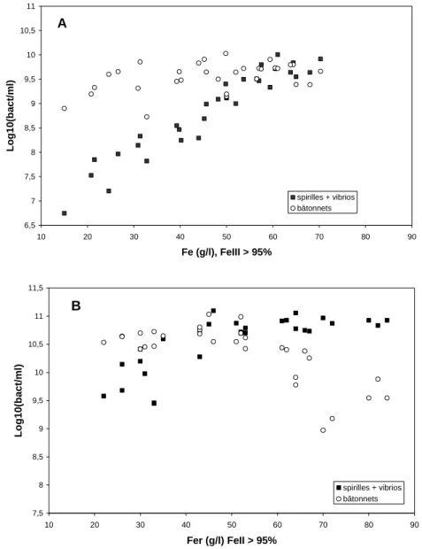 Figure 1. Comparaison du pourcentage de cellules morphologiquement apparentées à Leptospirillum et de  bâtonnets dans les réacteurs de biolixiviation (phase liquide) en fonction de la concentration en fer au cours de  deux opérations pilote de 100 L