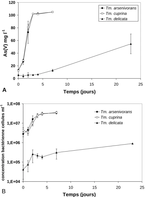 Figure 4. Croissance de Tm. cuprina, «  Tm. arsenivorans »  et  Tm. delicata sur milieu minimum (MCSM,  Battaglia-Brunet et al., 2002) contenant 100 mg.l -1  d’As(III), résultats du 8 ème  repiquage