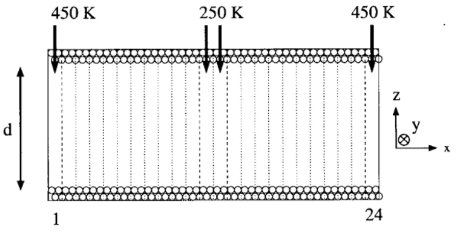 Figure 1. General set-up of the simulation box.