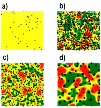 Fig. 4.1 – Simulation numérique bidimensionnelle de la germination-croissance d’après Sagui et al