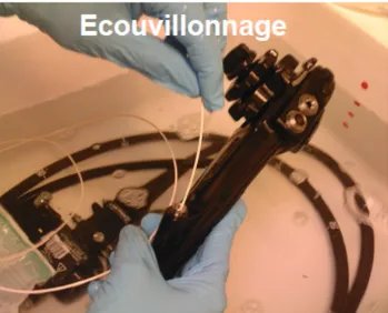 Figure 10 : Ecouvillonnage des canaux d’endoscope. 