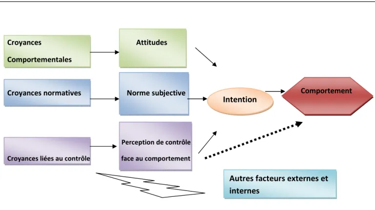Figure  1  : Caractéristiques  principales  de  la  théorie  du  comportement  planifié  basé  sur  l’interprétation du Conner et de Norman