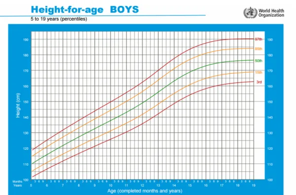Figure I-6 : Courbe de croissance en percentiles pour taille/âge -garçon 5-19ans-(OMS) 