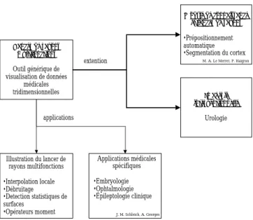 Figure 7 : Synthèse des travaux en visualisation de l'anatomie 