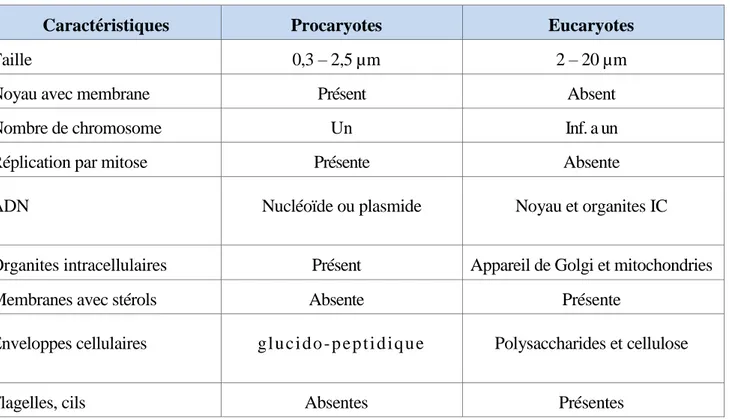 Tableau I : Principaux caractères distinctifs des procaryotes et eucaryotes [6] 