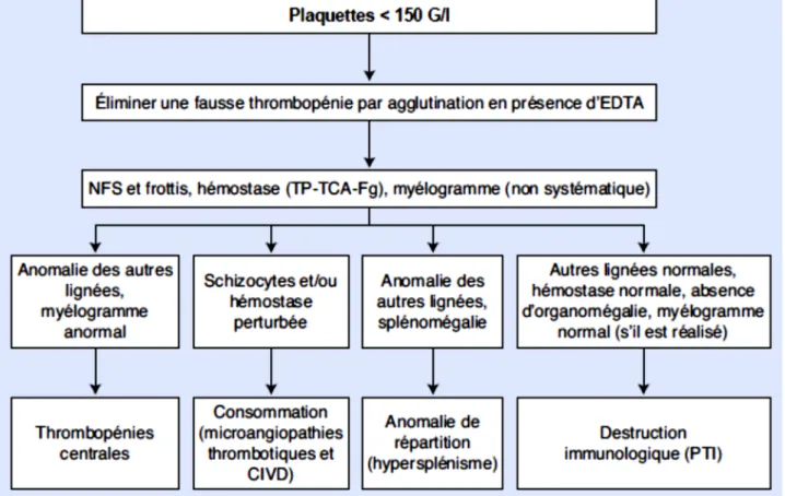 Figure 8: Arbre décisionnel. Démarche diagnostique devant une thrombopénie. EDTA: 
