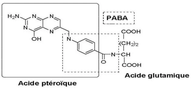 Figure 1 :structure de l’acide folique (9(