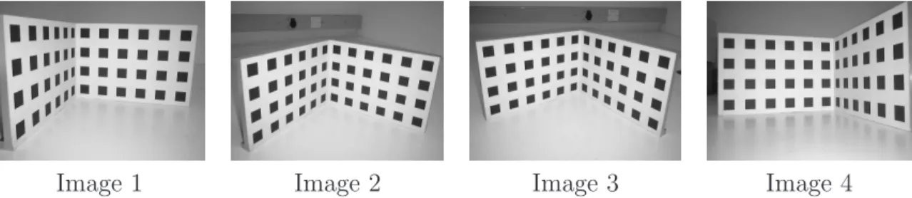 Fig. 3.1 – Images of a calibration grid.