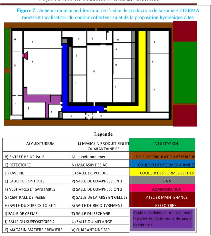 Figure 7 : Schéma du plan architectural de l’usine de production de la société IBERMA  montrant localisation  du couloir collecteur sujet de la proposition hygiénique citée    