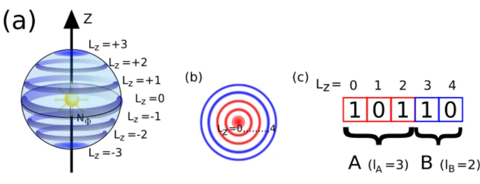 Figure 4: Schematic representation of the orbital basis (a) on the sphere geometry for N Φ = 3 and (b) on the disk geometry 
