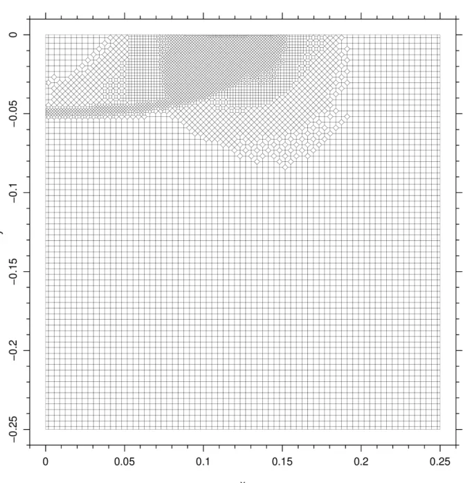 Fig. 6 : Maillage créé par Zohour pour notre problème-test de changement de phase 2D.