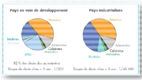 Figure 12: Place du rotavirus dans la répartition des causes d’infection dans les pays  industrialisés et en voie de développement [92]