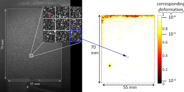Figure 1.6: Left: raw experimental speckle image (the sample is constituted of glass beads of diameter d = 90µm, indicated in the inset in red)