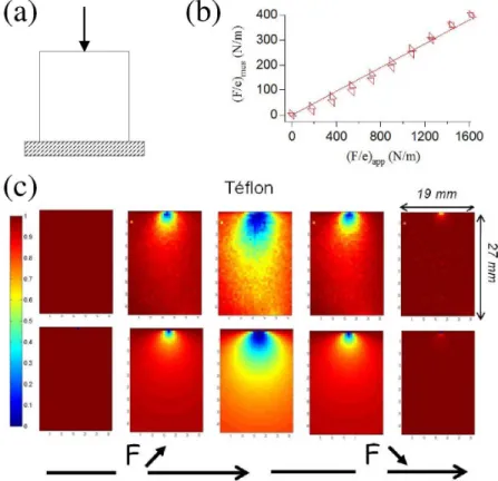 Figure 1.7: (a) Mechanical conditions of loading of the sample. (b) Ratio between the force exerted and the thickness of the sample, as deduced from a fit of the correlation maps F e 