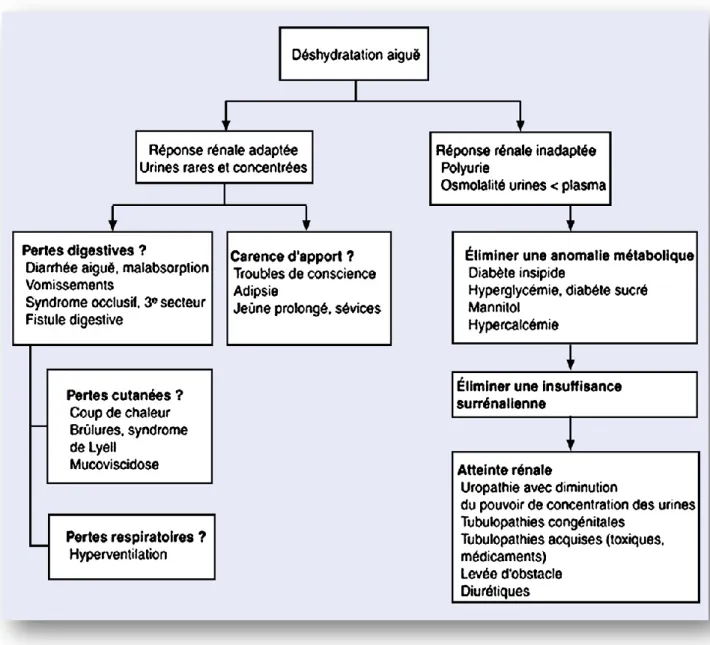 Figure 9 : arbre décisionnel : diagnostic d’une déshydratation aigue chez un enfant 
