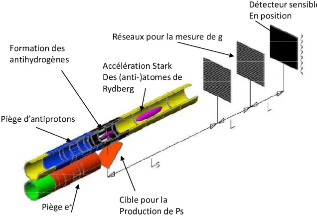 Fig. 7.1 – Méthode de production d’antihydrogène proposée dans AEGIS [Testera et al., 2008].