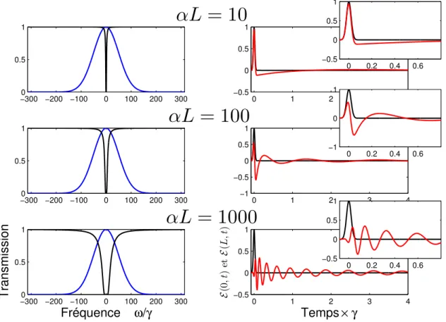 Figure 12 – Propagation d’une impulsion dont le spectre est beaucoup plus large que la transition (en bleu sur les courbes de gauche)