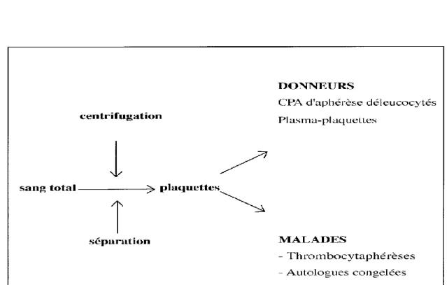Fig. 4 : Processus de prélèvement de plaquettes. 