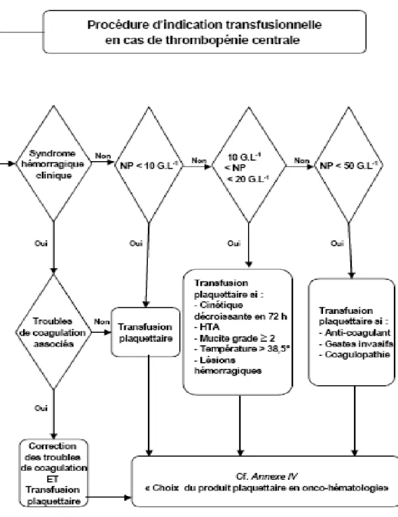 Fig. N°5 : Procédure d’indication transfusionnelle en cas de thrombopénie centrale 