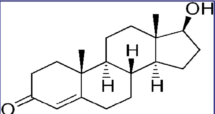 Figure 3 : Structure Chimique de la testostérone [56] 