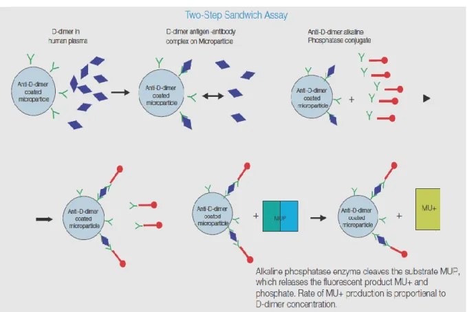 Figure 1 : Processus de la technique MEIA 