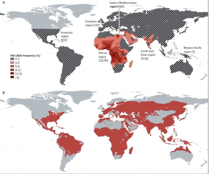 Figure 3 : Distribution globale de la drépanocytose et du paludisme [26]. 