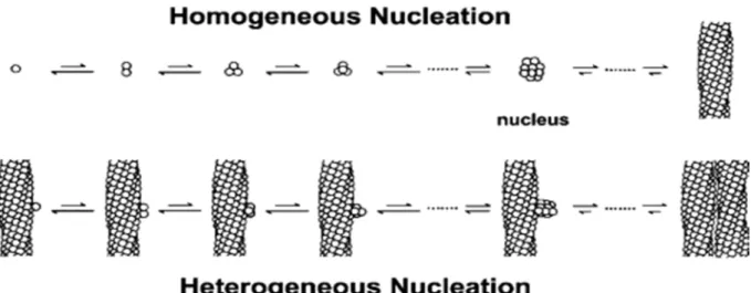 Figure 7 : Mécanismes de la nucléation [67].