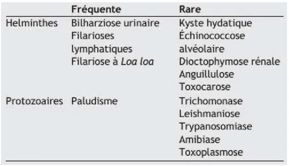Tableau 1 : Fréquence de l’atteinte urinaire des parasites [47]. 