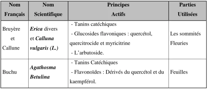 Tableau 3 : Exemples de plantes antiseptiques urinaires [84]. 