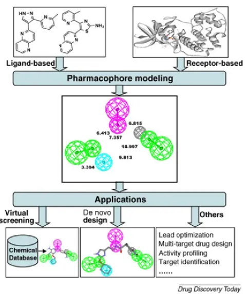Figure 1 :The full framework of pharmacophore architecture. 