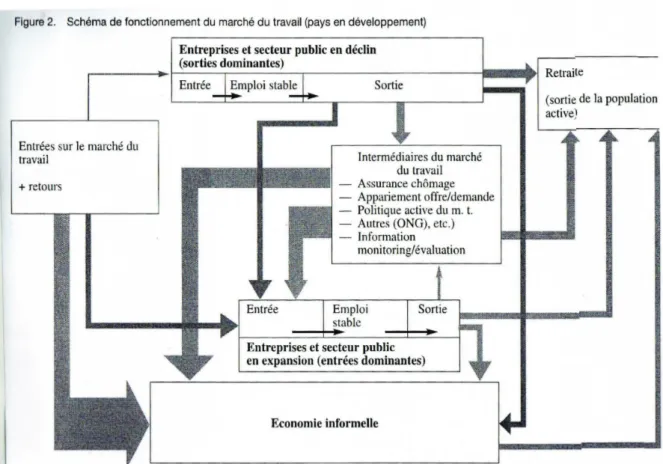 Figure n°01 : schéma de fonctionnement du marché du travail  (Pays en développement) 