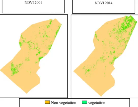Fig. 4. Object vegetation masks by calculation of NDVI 2001 and NDVI 2014 indices.